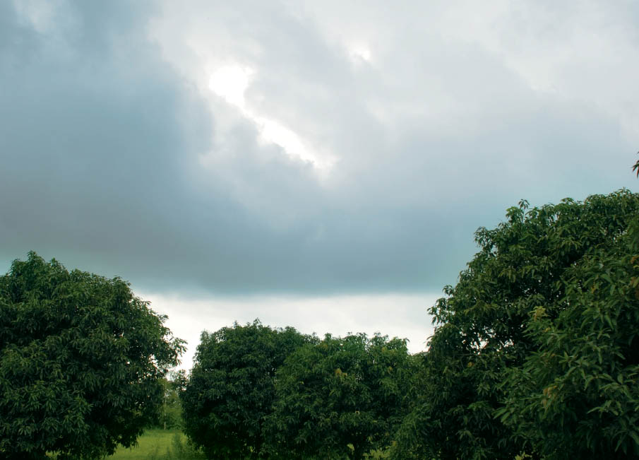 Enhancing Farm Outputs: Agro-Meteorological Advisory Services in India